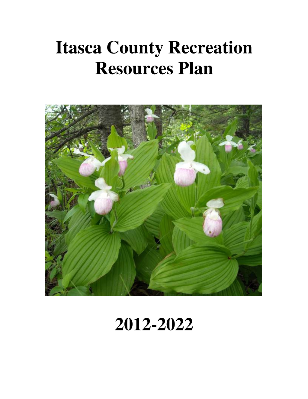 Itasca County Recreation Resources Plan 2012-2022