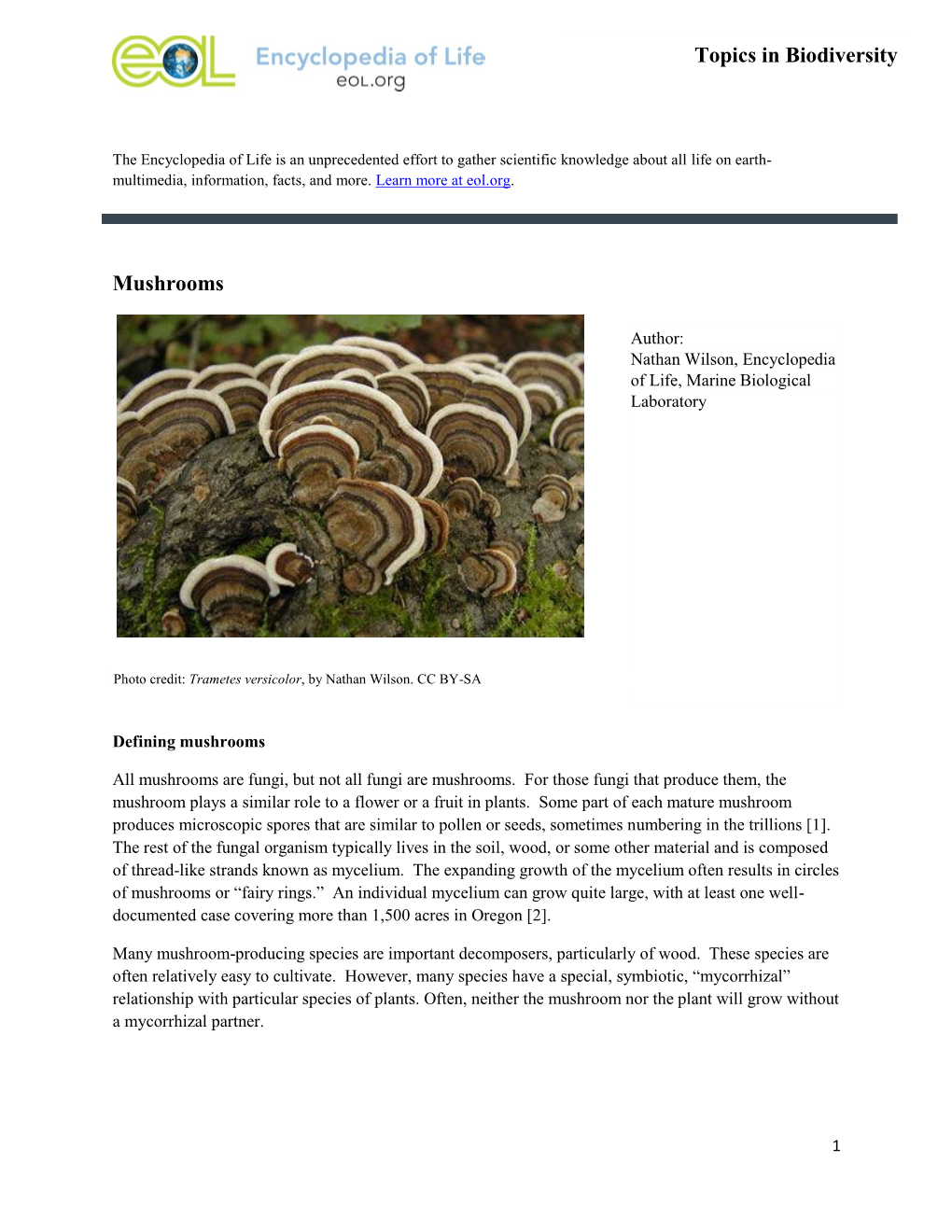 Mushrooms Topics in Biodiversity