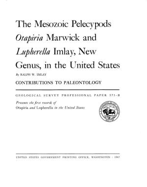 Lzlp Herela Imla Y, New Genus, in the United States