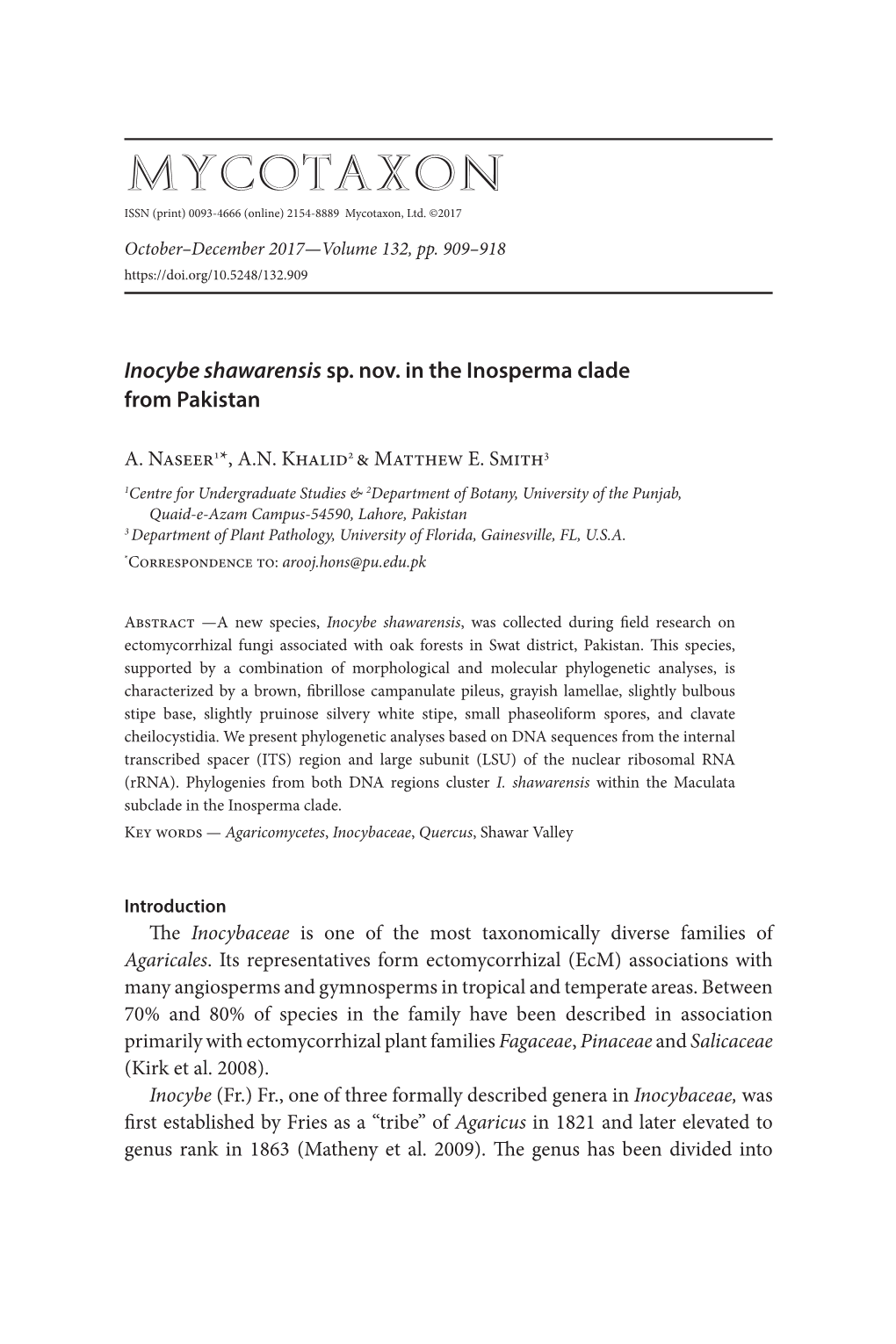 I. Shawarensis Within the Maculata Subclade in the Inosperma Clade