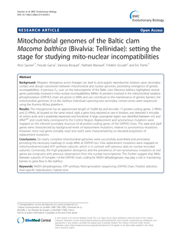 Mitochondrial Genomes of the Baltic Clam Macoma