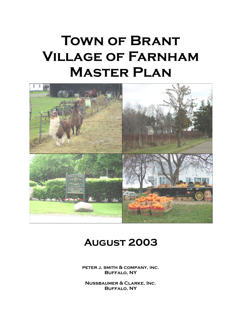 Town of Brant Village of Farnham Master Plan