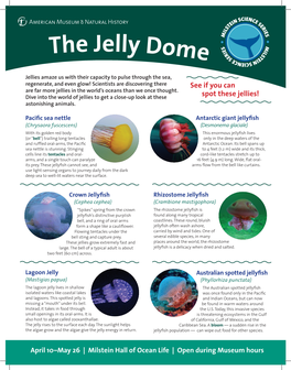 The Jelly Dome