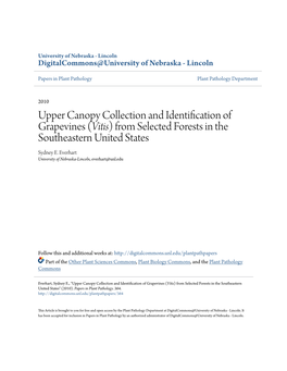 Upper Canopy Collection and Identification of Grapevines (Vitis) from Selected Forests in the Southeastern United States Sydney E