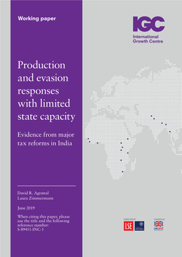 Production and Evasion Responses with Limited State Capacity