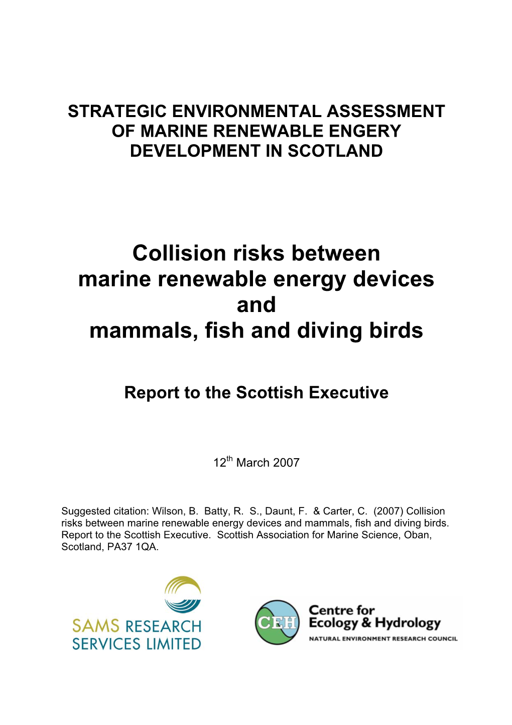 Collision Risks Between Marine Renewable Energy Devices and Mammals, Fish and Diving Birds