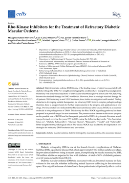 Rho-Kinase Inhibitors for the Treatment of Refractory Diabetic Macular Oedema