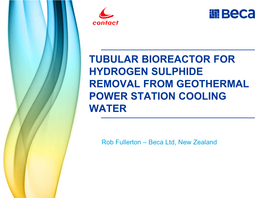 Tubular Bioreactor for Hydrogen Sulphide Removal from Geothermal Power Station Cooling Water