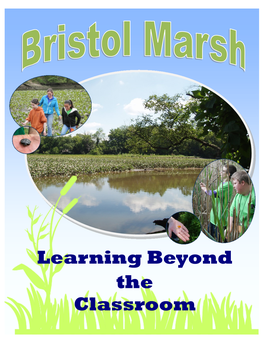 Learning Beyond the Classroom Pennsylvania Coastal Zone Management Program