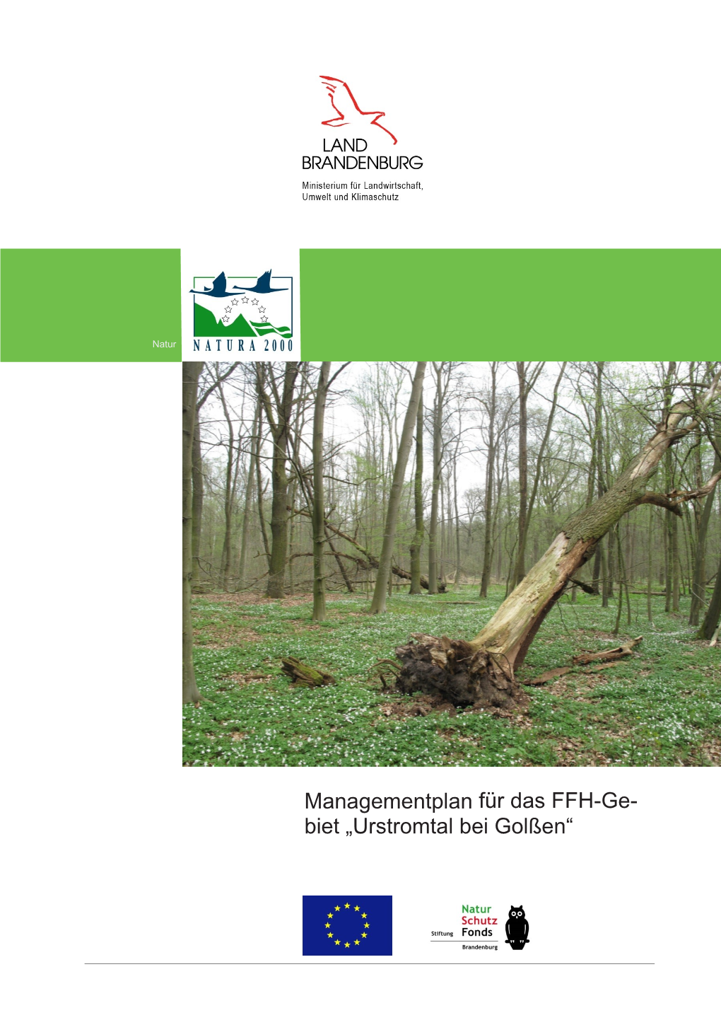 Managementplan Für Das FFH-Gebiet Urstromtal Bei Golßen