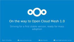 On the Way to Open Cloud Mesh 1.0