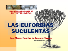 Las Euforbias Suculentas