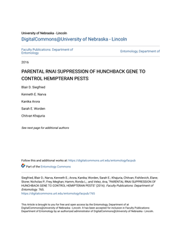 Parental Rnai Suppression of Hunchback Gene to Control Hemipteran Pests