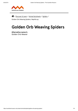Golden Orb Weaving Spiders - the Australian Museum