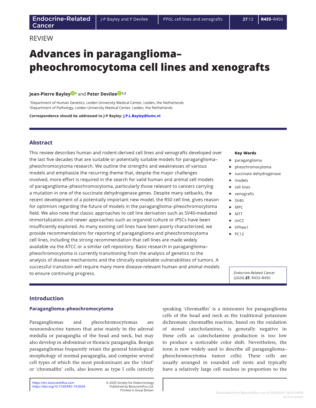 Pheochromocytoma Cell Lines and Xenografts