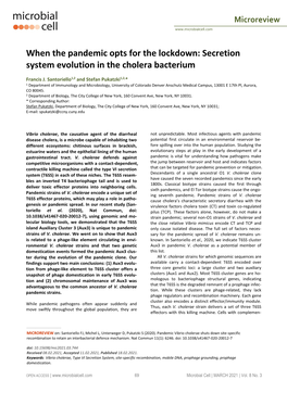 When the Pandemic Opts for the Lockdown: Secretion System Evolution in the Cholera Bacterium