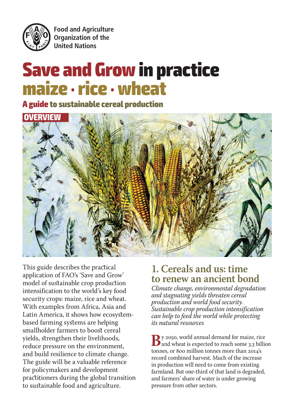 Save and Grow in Practice: Maize, Rice, Wheat