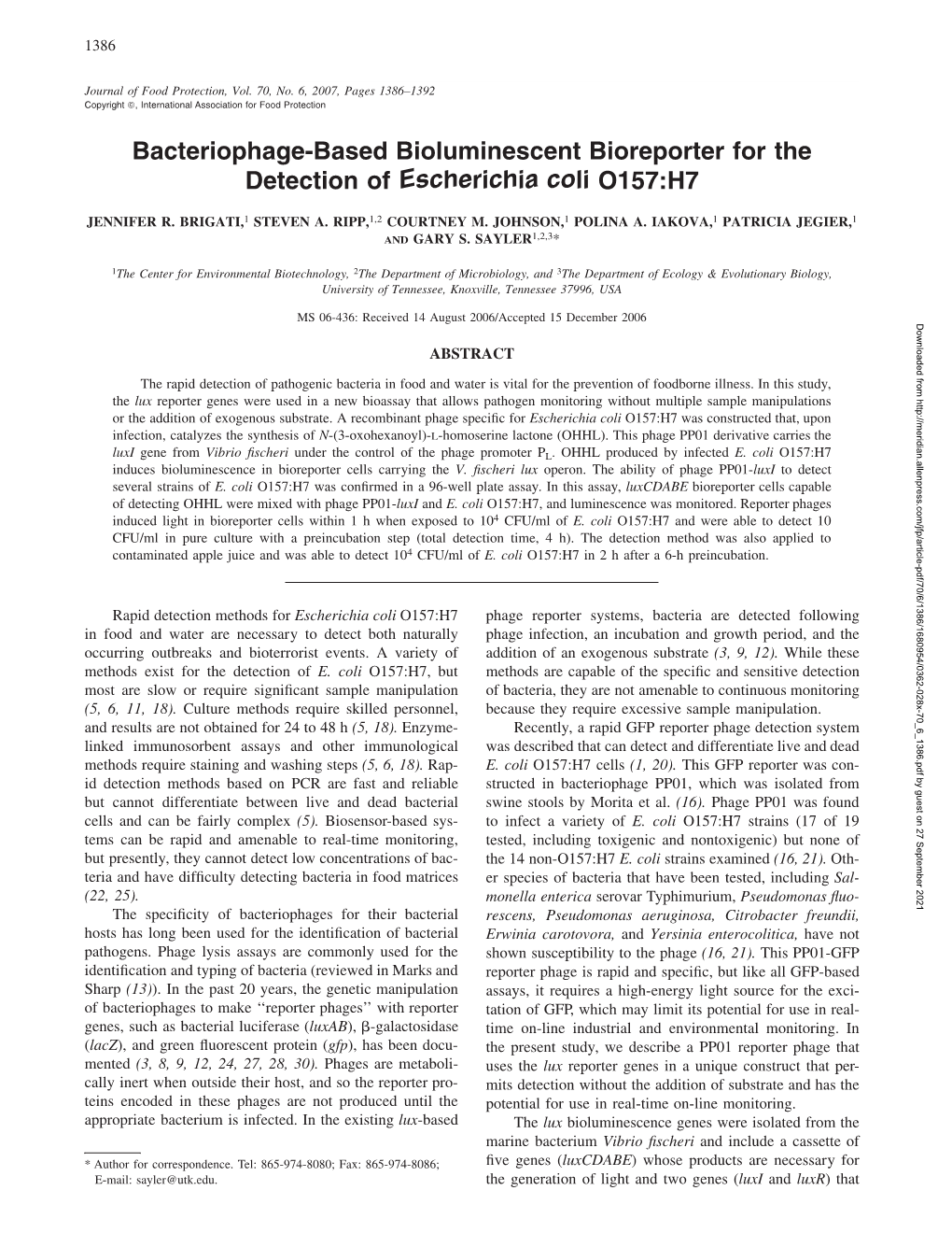 Bacteriophage-Based Bioluminescent Bioreporter for the Detection of <I