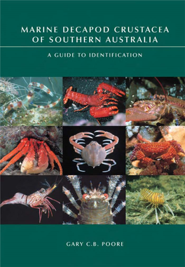 Marine Decapod Crustacea of Southern Australia a Guide to Identification