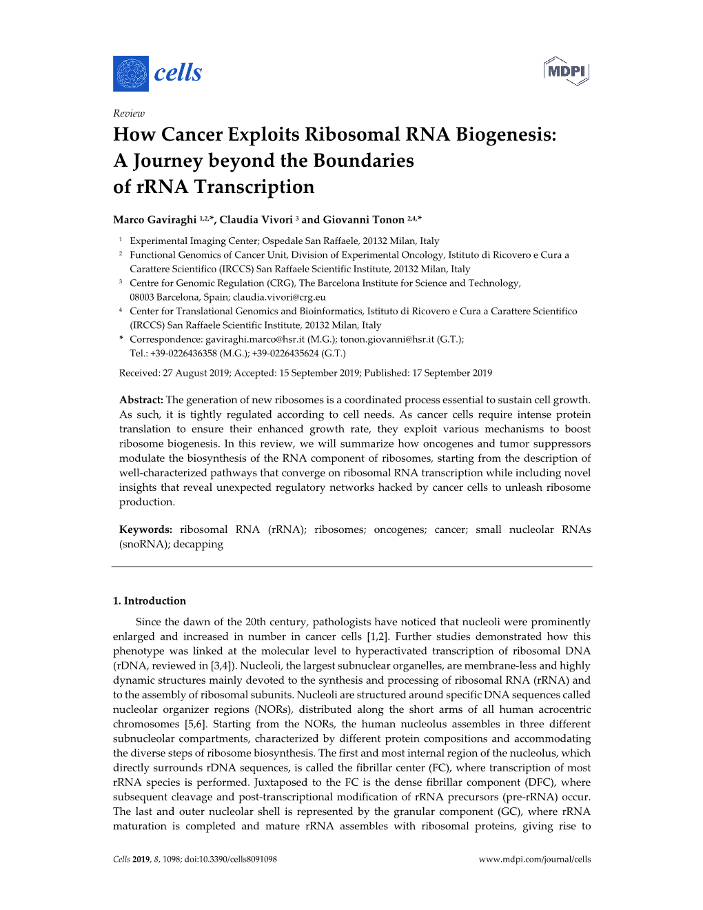 How Cancer Exploits Ribosomal RNA Biogenesis: a Journey Beyond the Boundaries of Rrna Transcription