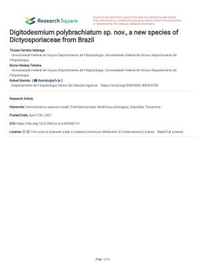 Digitodesmium Polybrachiatum Sp. Nov., a New Species of Dictyosporiaceae from Brazil