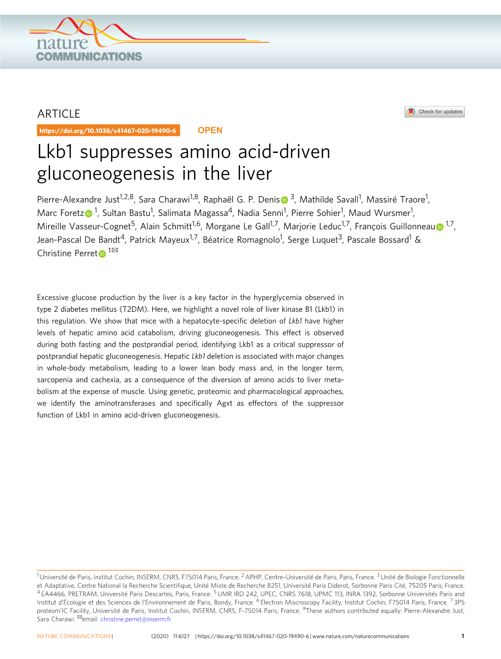 Lkb1 Suppresses Amino Acid-Driven Gluconeogenesis in the Liver