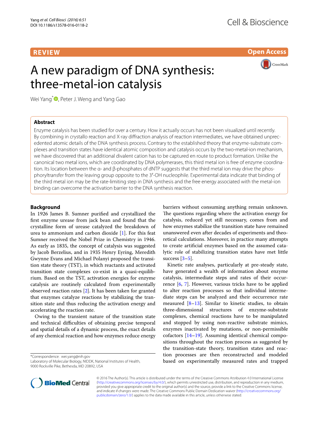 A New Paradigm of DNA Synthesis: Three-Metal-Ion Catalysis