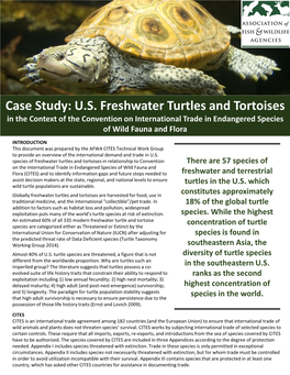 Turtle Trade Case Study