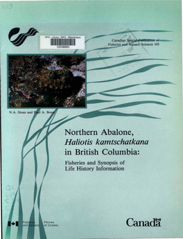 Northern Abalone, Haliotis Kamtschatkana in British Columbia: Fisheries and Synopsis of Life History Information