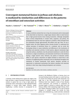 Convergent Metatarsal Fusion in Jerboas and Chickens Is Mediated by Similarities and Differences in the Patterns of Osteoblast and Osteoclast Activities