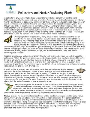 Pollinators and Nectar Producing Plants