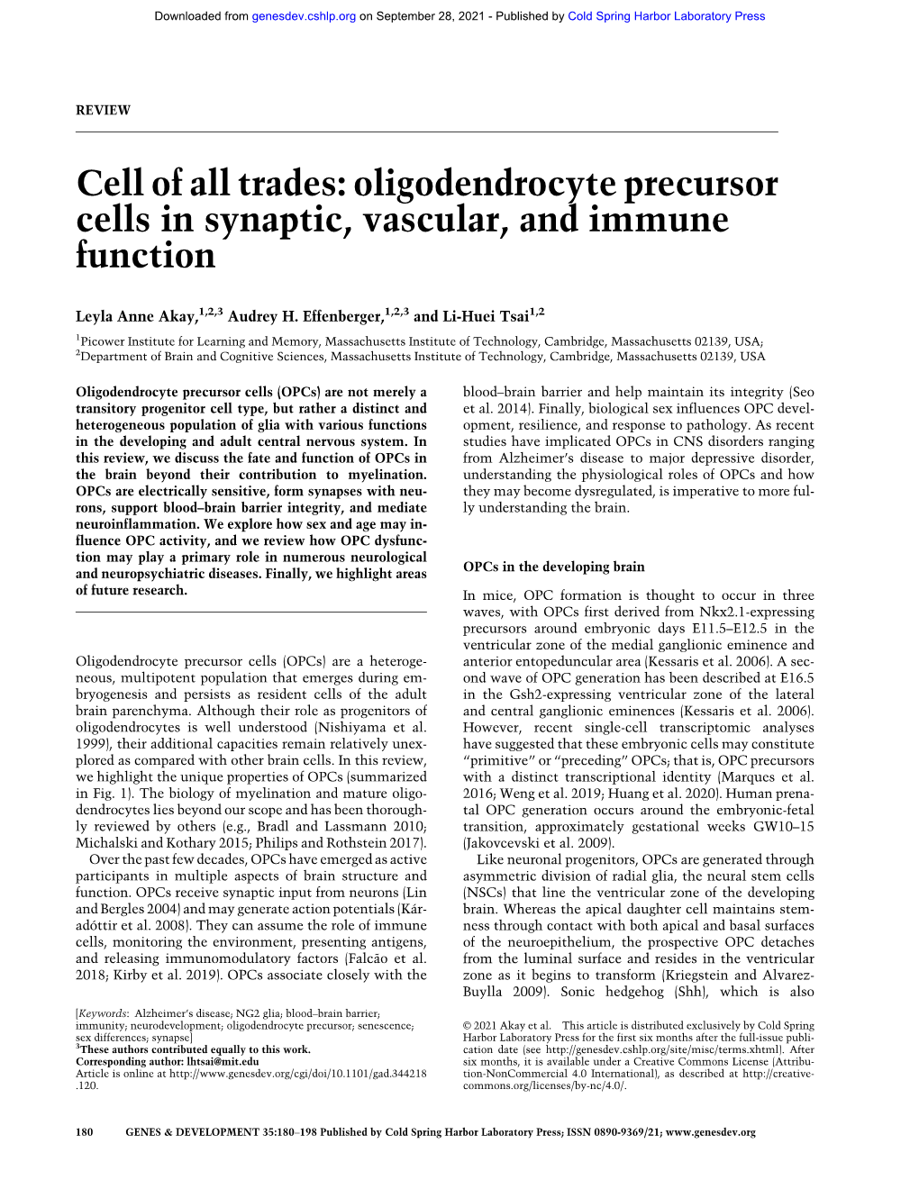 Cell of All Trades: Oligodendrocyte Precursor Cells in Synaptic, Vascular, and Immune Function