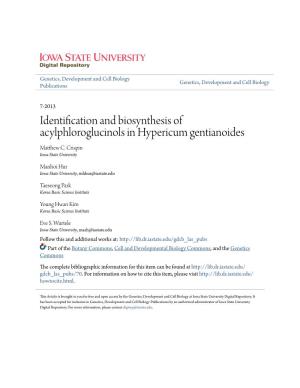 Identification and Biosynthesis of Acylphloroglucinols in Hypericum Gentianoides Matthew .C Crispin Iowa State University