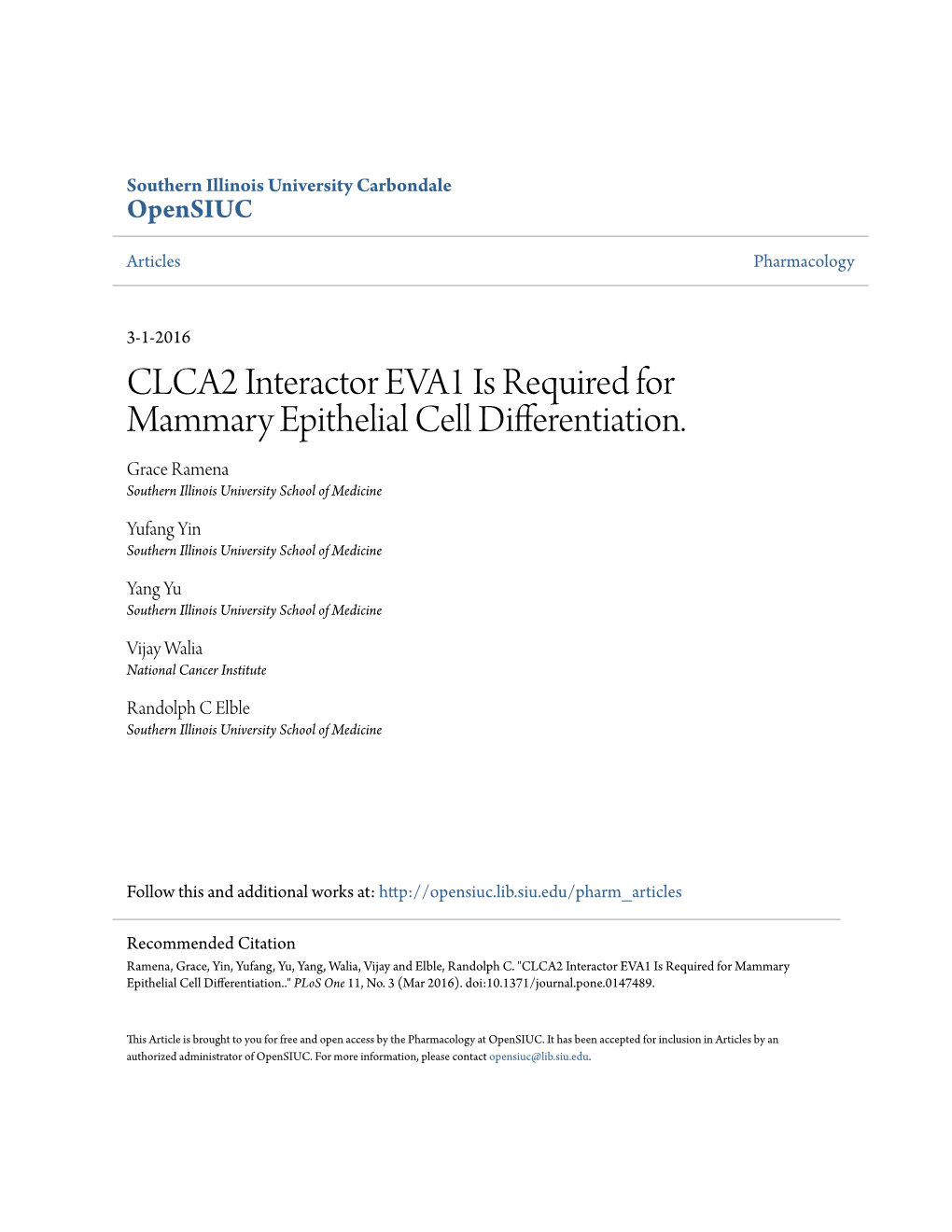CLCA2 Interactor EVA1 Is Required for Mammary Epithelial Cell Differentiation