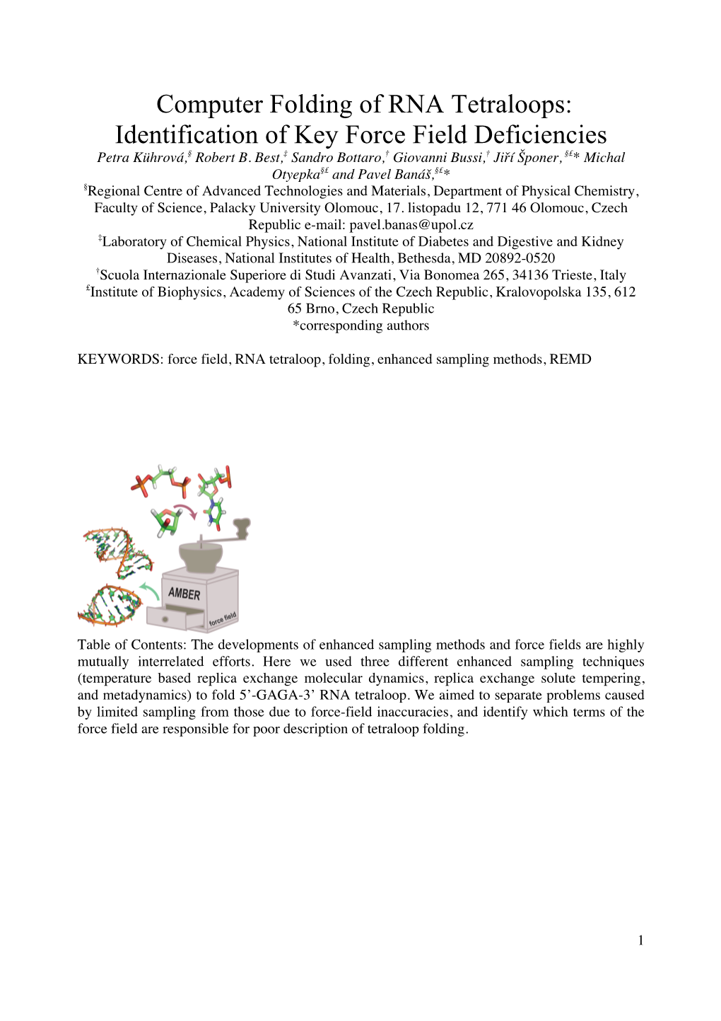 Computer Folding of RNA Tetraloops: Identification of Key Force Field Deficiencies Petra Kührová,§ Robert B