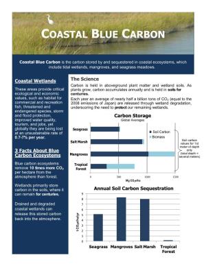 Coastal Blue Carbon