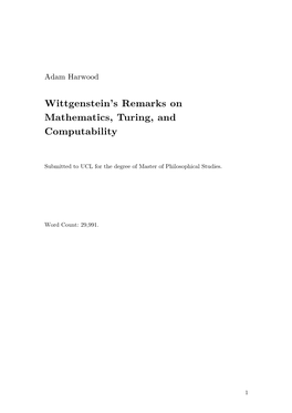 Wittgenstein's Remarks on Mathematics, Turing, and Computability