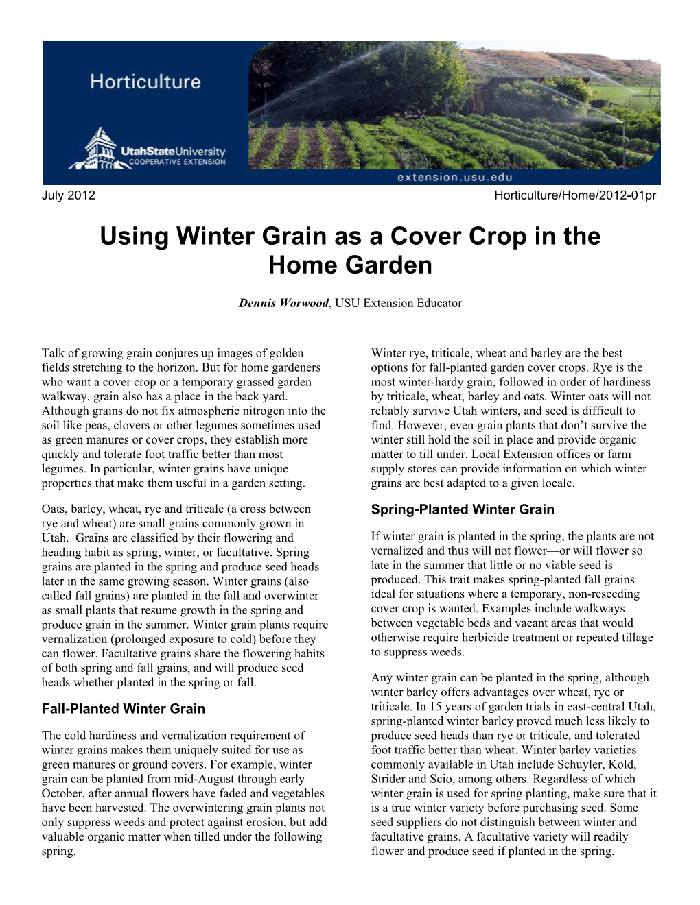 Using Winter Grain As a Cover Crop in the Home Garden