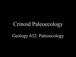 Crinoid Paleoecology