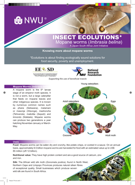 INSECT ECOLUTIONS* Mopane Worms (Imbrasia Belina) a Japan-South Africa Joint Initiative Knowing More About Mopane Worms