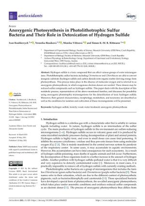 Anoxygenic Photosynthesis in Photolithotrophic Sulfur Bacteria and Their Role in Detoxication of Hydrogen Sulﬁde
