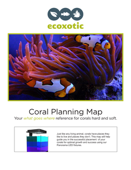 Coral Planning Map Your What Goes Where Reference for Corals Hard and Soft