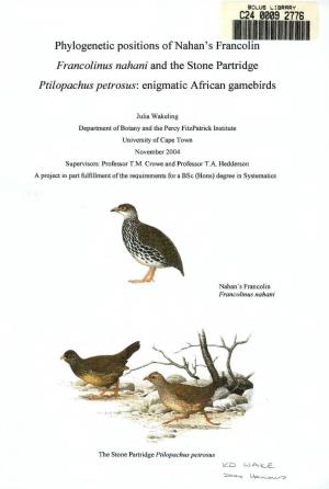 Phylogenetic Positions of Nahan's Francolin Francolinus Nahani And