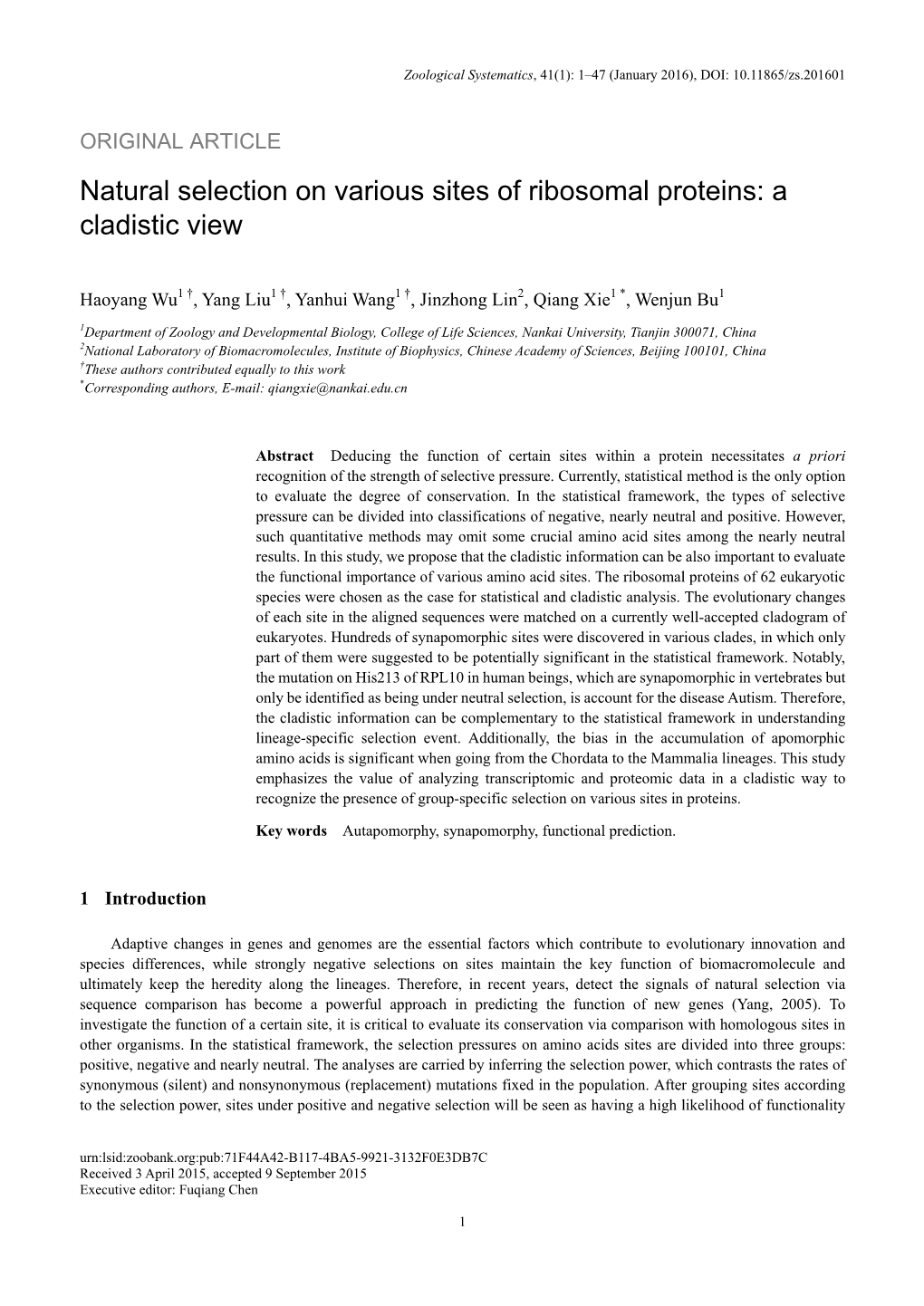 Natural Selection on Various Sites of Ribosomal Proteins: a Cladistic View