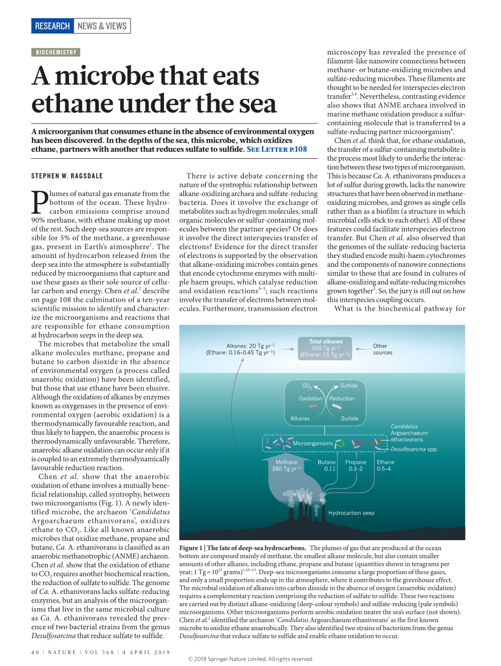 A Microbe That Eats Ethane Under The