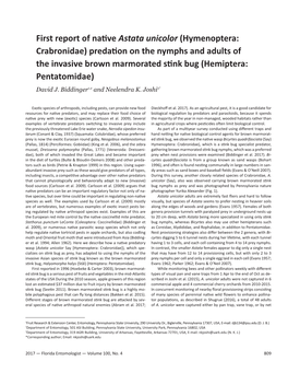 First Report of Native Astata Unicolor (Hymenoptera: Crabronidae