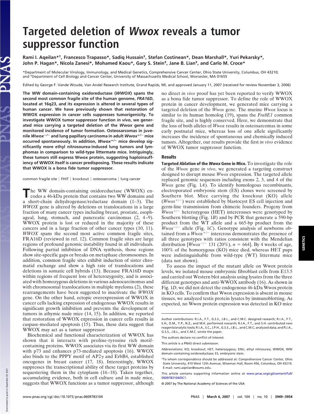 Targeted Deletion of Wwox Reveals a Tumor Suppressor Function