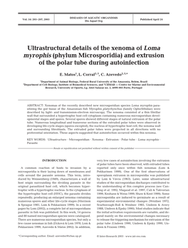 Ultrastructural Details of the Xenoma of Loma Myrophis (Phylum Microsporidia) and Extrusion of the Polar Tube During Autoinfection