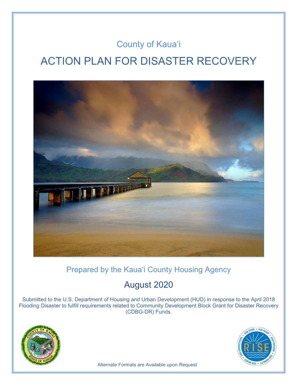 Action Plan for Disaster Recovery