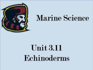 Unit 3.11 Echinoderms Marine Science